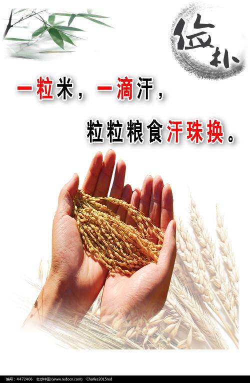 怎么做假塞尔寇克学院文凭毕业证